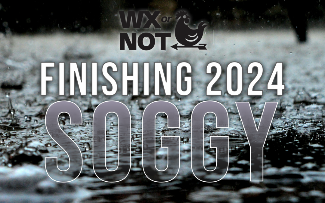 Finishing 2024 soggy